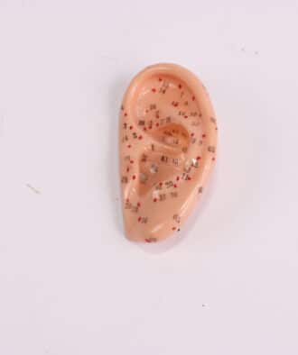 מודל אוזן לאקופ' 7 ס"מ