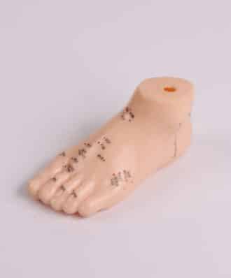 מודל רגל לאקופ' 13 ס"מ