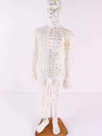 בובת מרידיאן זכר לאקופ' 60 ס"מ