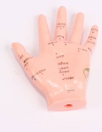 מודל כף יד לדיקור בודד 13 ס"מ עם מספרים